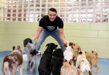 Идеи бизнеса на домашних питомцах Идеи бизнеса на домашних питомцах