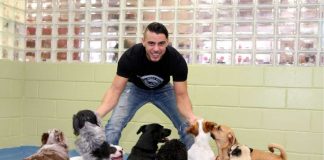 Идеи бизнеса на домашних питомцах Идеи бизнеса на домашних питомцах