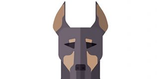 Отзыв о плагине Cerber Security Отзыв о плагине Cerber Security