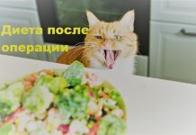 Диета после удаления геморроя Диета после удаления геморроя