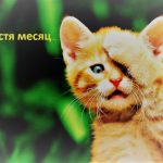 Месяц после удаления геморроя Месяц после удаления геморроя