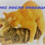 Секс после удаления геморроя Секс после удаления геморроя