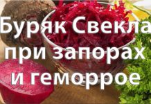 Буряк Свекла при запорах и геморрое Буряк Свекла при запорах и геморрое