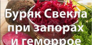 Буряк Свекла при запорах и геморрое Буряк Свекла при запорах и геморрое