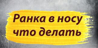 Ранка в носу не заживает Ранка в носу не заживает
