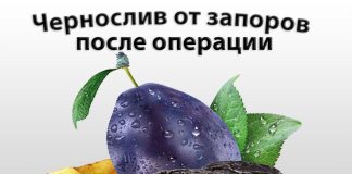 Чернослив после удаления геморроя Чернослив после удаления геморроя