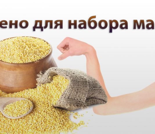 Пшено для роста мышц Пшено для роста мышц