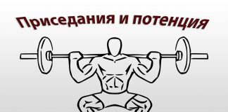 Влияют ли приседания на потенцию Влияют ли приседания на потенцию