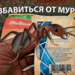 Как избавиться от муравьёв Как избавиться от муравьёв